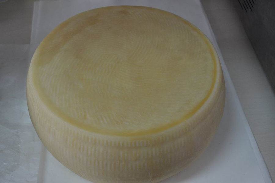 view up close of round graviera cheese from 'Vasilas Dairy' company